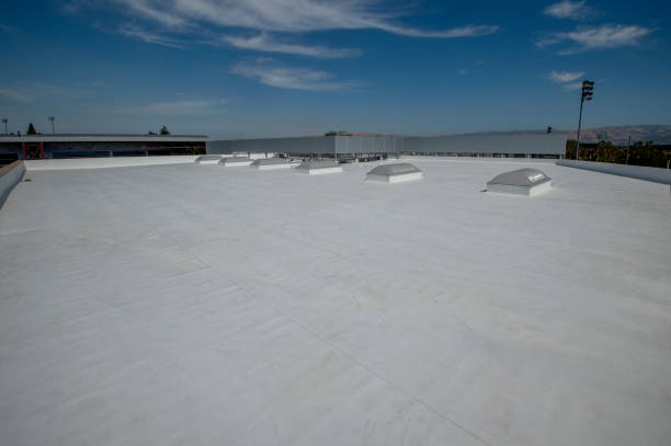 Best Steel Roofing  in Montour Falls, NY