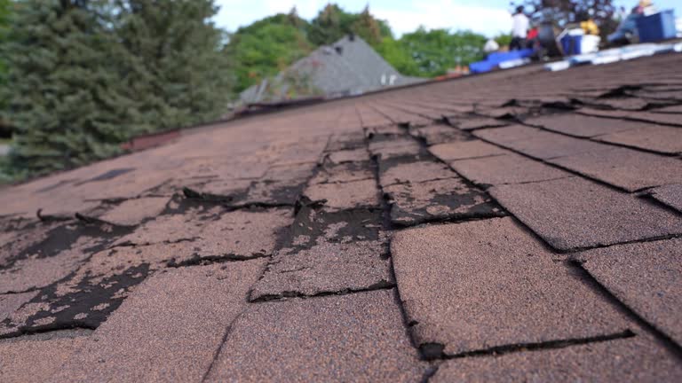 Best 4 Ply Roofing  in Montour Falls, NY