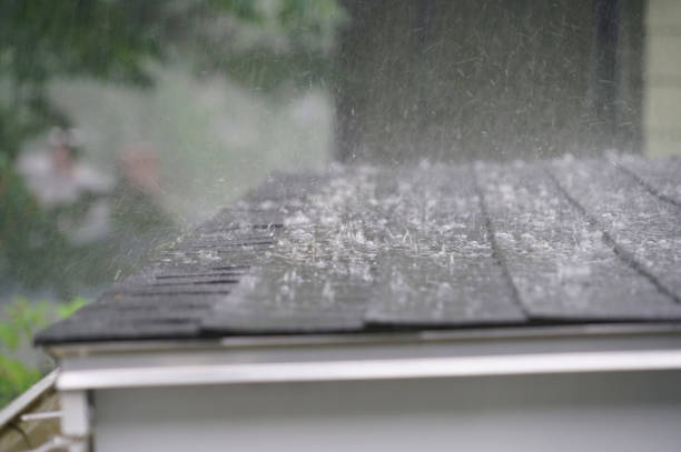 Best Roof Moss and Algae Removal  in Montour Falls, NY
